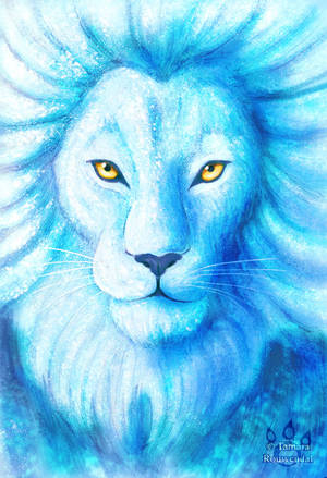 Lion of Ice by tamaraR Lion of Ice by tamaraR