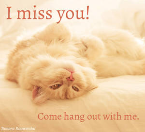 Miss you Pip card by tamaraR Miss you Pip card by tamaraR