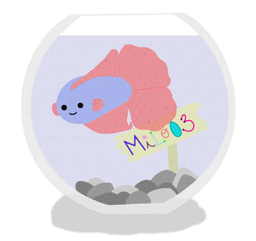 Plush Betta ID