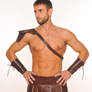 Spartacus stock