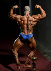 Bodybuilding 0791 by vishstudio