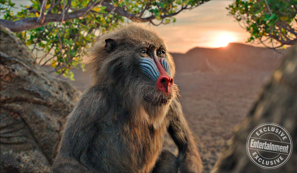 The Lion King (2019) Rafiki by KingTChalla-Dynasty on DeviantArt