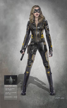 Official Arrow S8 Black Canary Suit Concept Art