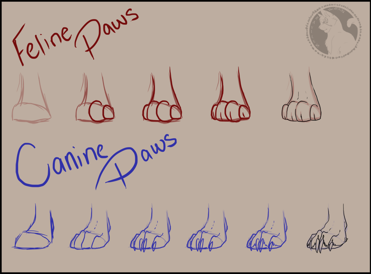 Paw Tutorial