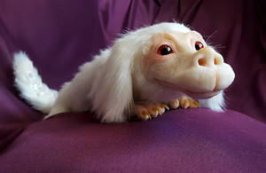 Falkor