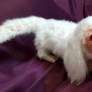 Falkor