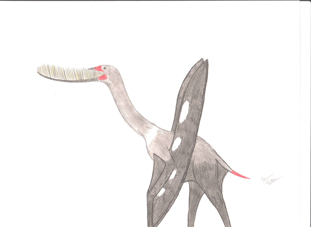 Pterodaustro guinazui by King-Edmarka