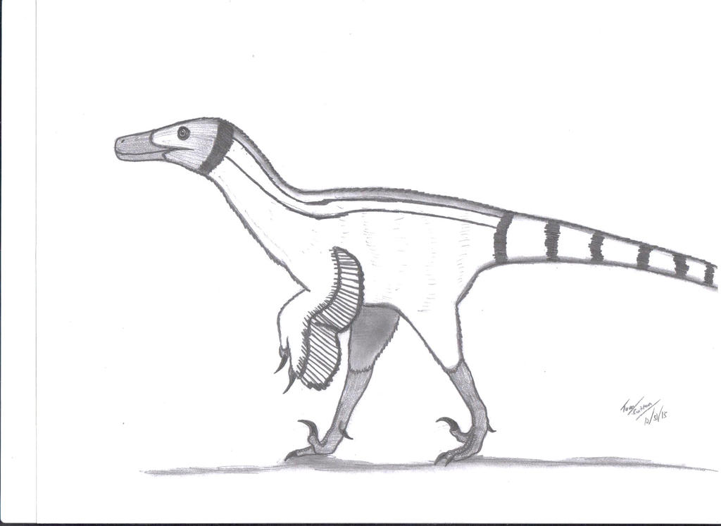 Linheraptor exquisitus by King-Edmarka on DeviantArt