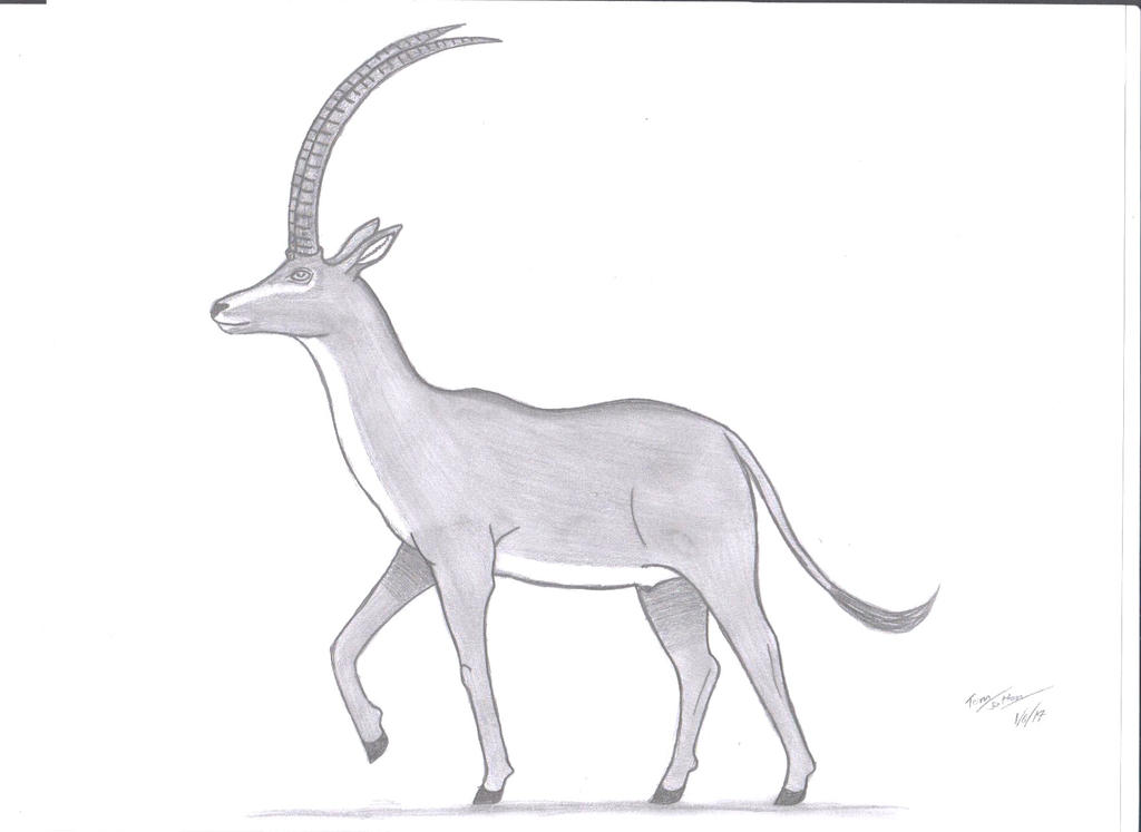 Hippotragus leucophaeus by KingEdmarka on DeviantArt