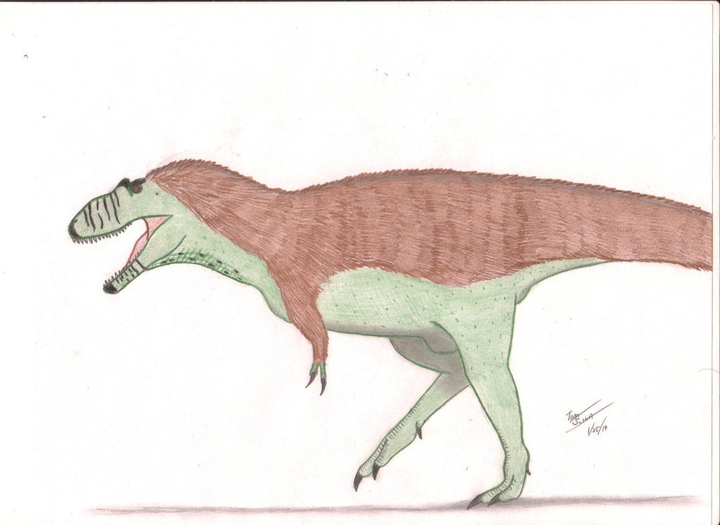 Daspletosaurus torosus