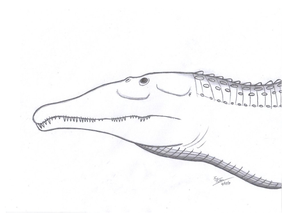 Smilosuchus gregorii