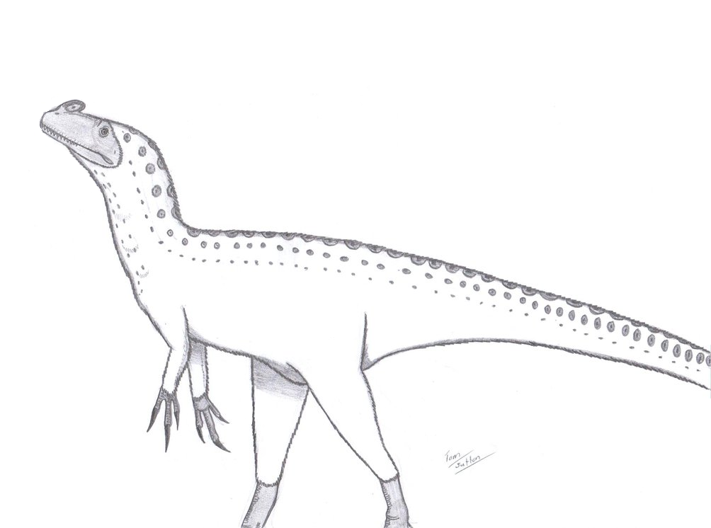 Sinotyrannus kazuoensis