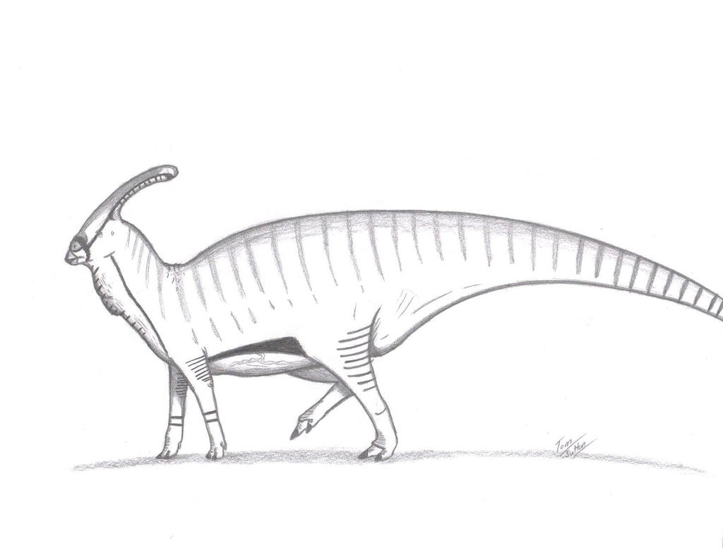 Charonosaurus jiayinensis by King-Edmarka on DeviantArt
