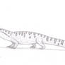 LWR - Channasaurus apartus