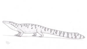 LWR - Channasaurus apartus