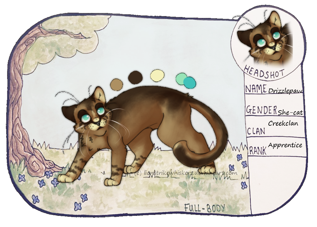 Drizzlepaw reference