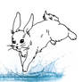 Year of the Water Rabbit