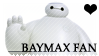 Baymax Fan.