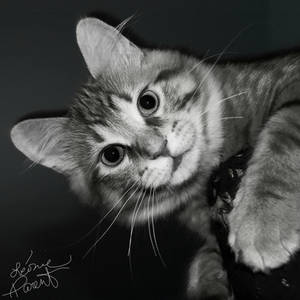 Sur le bout de la langue...