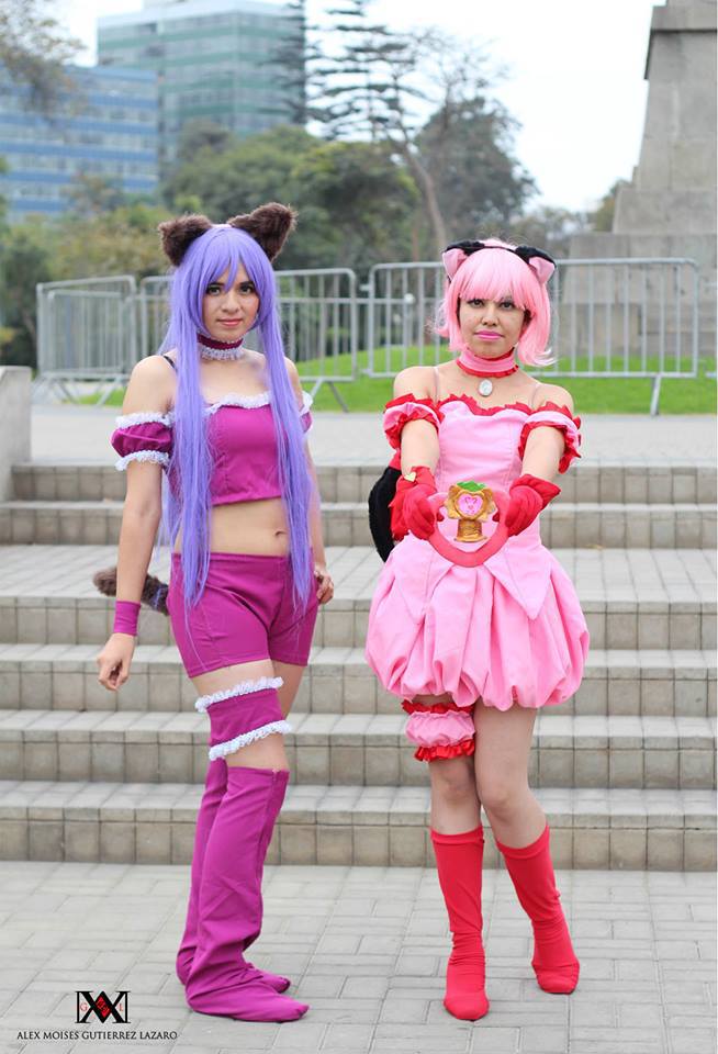 Tokyo Mew Mew NEW Zakuro Purple Cosplay Costume