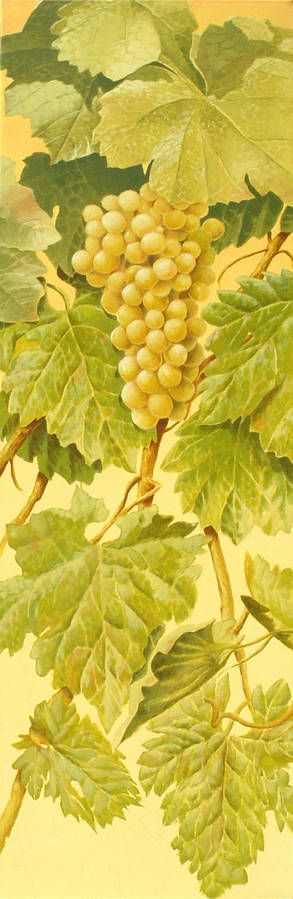 uvas blancas