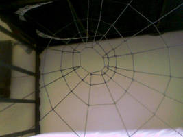 Spider Web