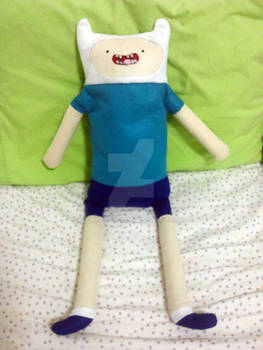 Finn the Human