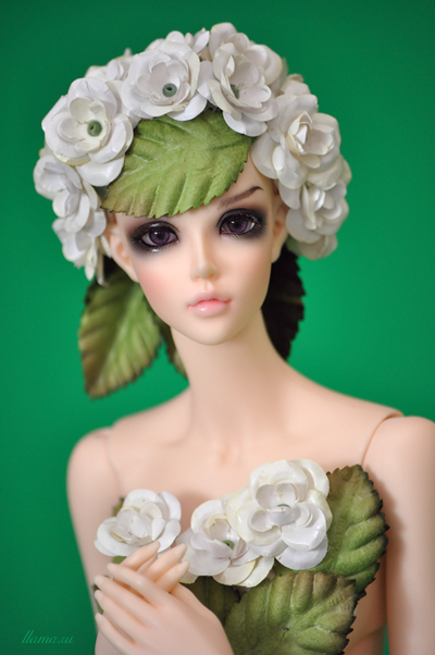 Green rose