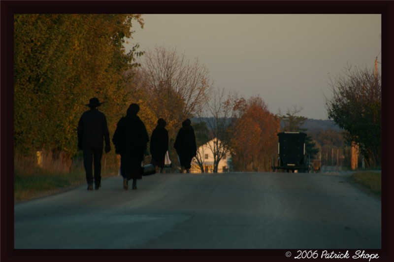 Take a Walk on the Amish Side