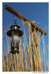 Lantern by pshope