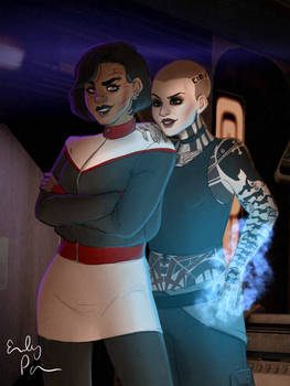 What Do You Think We Should Do, Shepard?