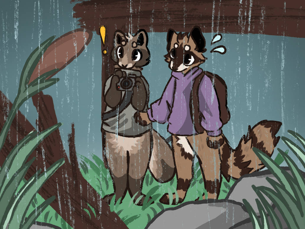 Tamiu Racoon Racoon and Tanuki by Meo-mao on DeviantArt