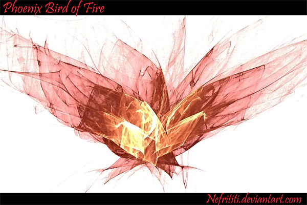 Phoenix Bird of Fire