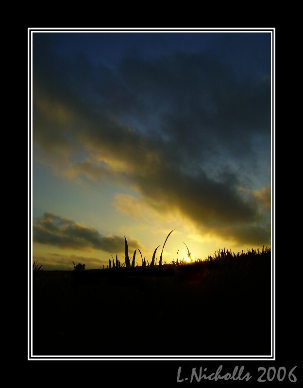 Sunset Across The Grass