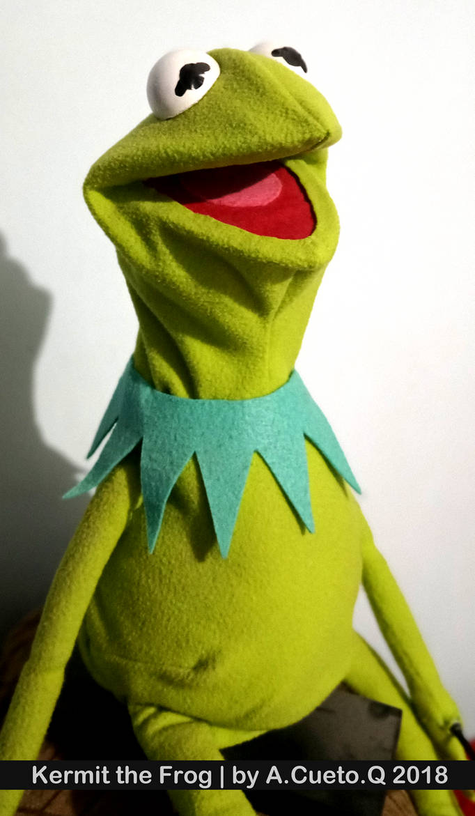 Kermit Rooftop Kermit by WebcraftMX on DeviantArt