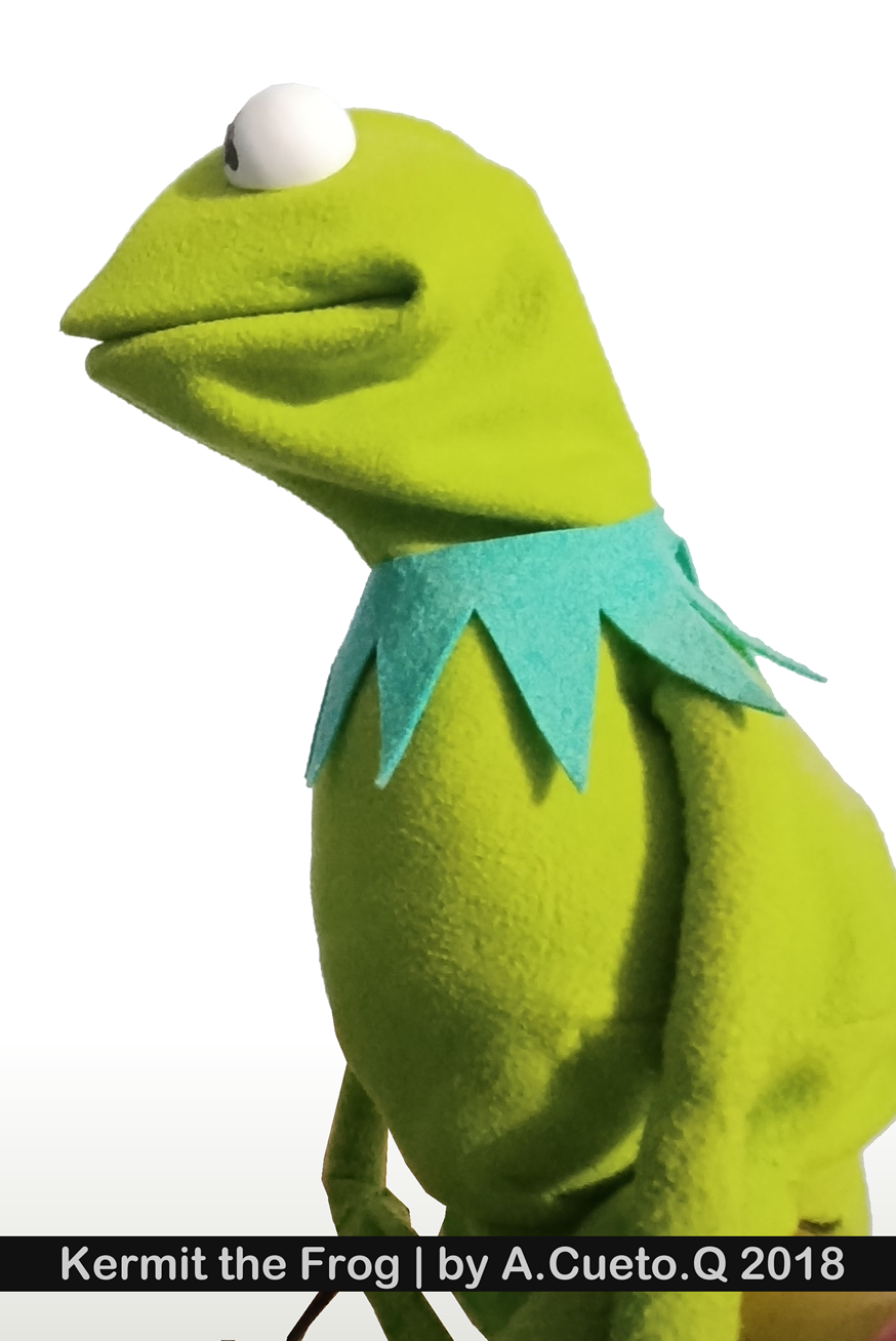 Kermit by WebcraftMX on DeviantArt