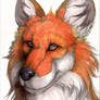 Dhole in Markers