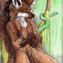 Maned Wolf in Color now
