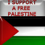 I support a free Palestine