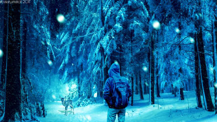 Winter Journey of A Sad Hooded Man
