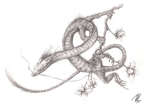 Oriental Garden Dragon (Sketch)