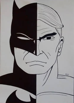 Bruce Wayne-Batman