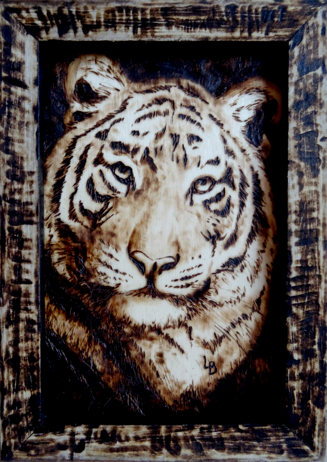 Pyrography - Tiger by Holly-Toadstool on DeviantArt