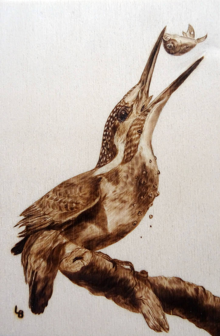 Pyrography - Kingfisher by Holly-Toadstool on DeviantArt