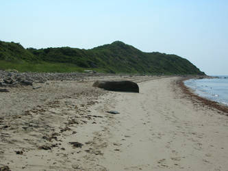 Martha's Vineyard, Seaside