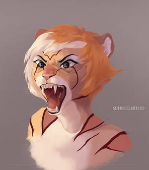 Angry Tiger Lady