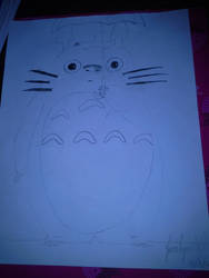 My Neighbor Totoro Drawing