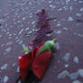 bleeding love