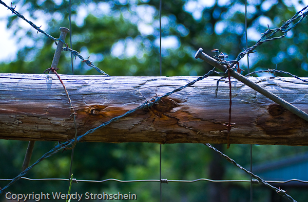 Fence