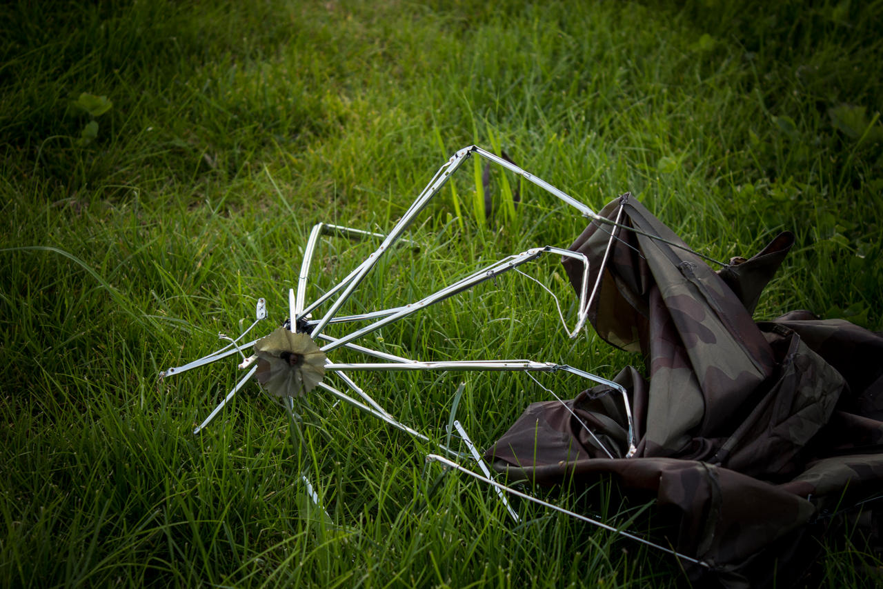 dead umbrella 2